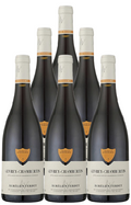 Aurelien Verdet Gevrey Chambertin 2020 750 ML (6 Bottles)
