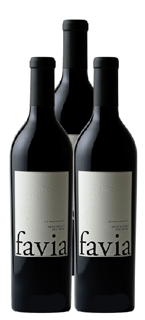 Favia Cabernet Sauvignon 2021 750 ML (3 Bottles)