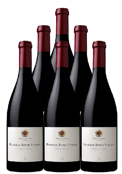 Hartford Court Pinot Noir Sevens Bench Vineyard Carneros 2022 750 ML (6 Bottles)