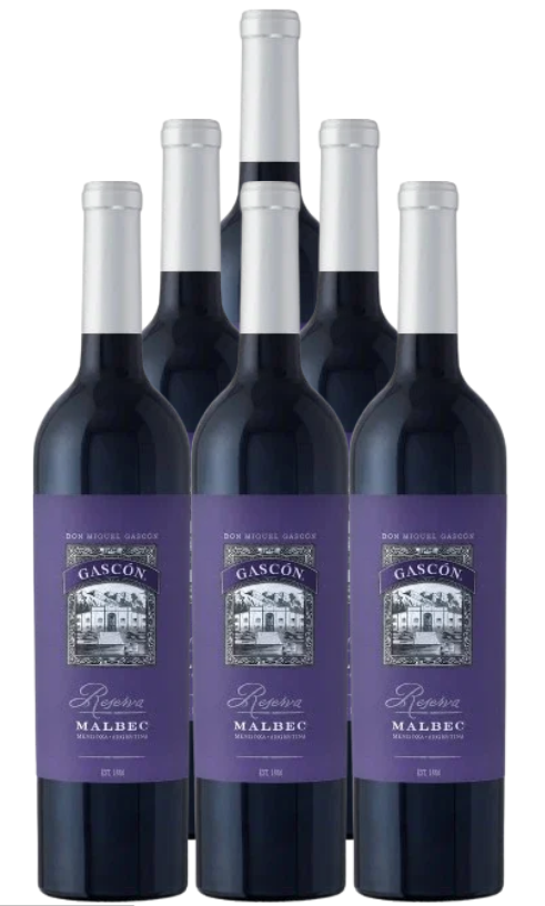 Don Miguel Gascon Malbec Reserva Mendoza 2017 750 ML (6 Bottles)