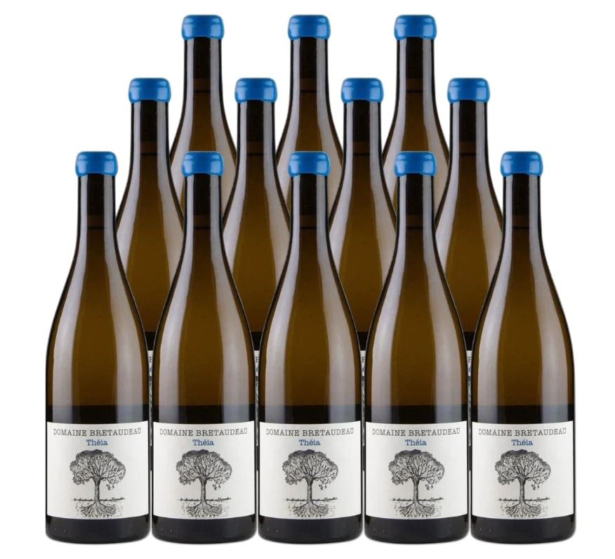 Bretaudeau Domaine de Bellevue Muscadet Sevre-et-Maine 2023 750 ML (12 Bottles)