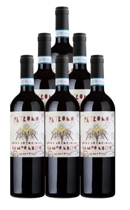 Petrolo Campo Lusso 2022 750 ML (6 Bottles)