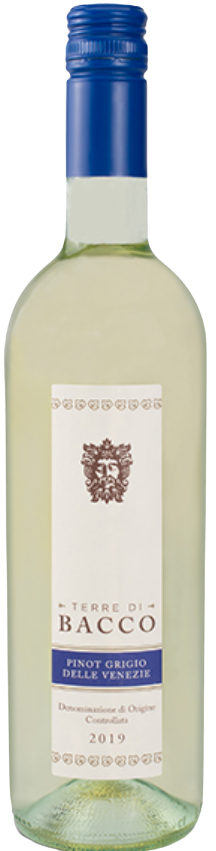 Terre di Bacco Pinot Grigio Delle Venezie 2021 750 ML