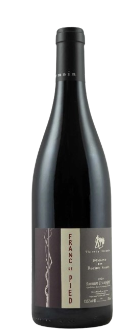 Thierry Germain Saumur Champigny Rouge Franc De Pied 2020 750 ML