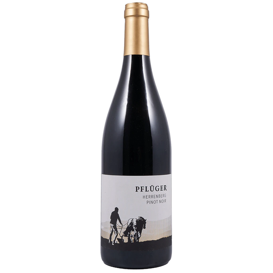 Pfluger Herrenberg Pinot Noir GG Pfalz 2021 750 ML bottle