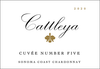 Cattleya Chardonnay Cuvee Number Five Sonoma Coast 2020 750 ML