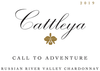 Cattleya Chardonnay Call To Adventure Russian River Valley 2019 750 ML