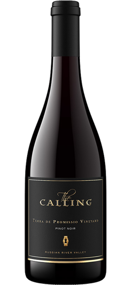 Guido Porro Barolo Vigna Santa Caterina 2021 750 ML     Description    Brand  Country  Region  Appellation  Grape Varietal  Wine Type  Wine Style  Vintage  Size  Testing Note  Alcohol By Volume  Type