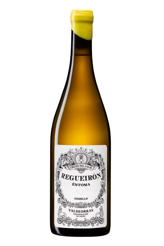 Bodegas Virgen del Galir Regueiron Godello 2020 750 ML
