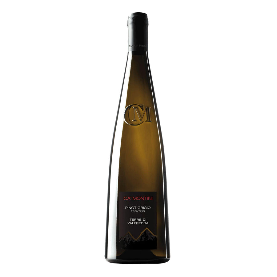 Ca montini Pinot Grigio Terre Di Valfredda Trentino 2025 750 ML