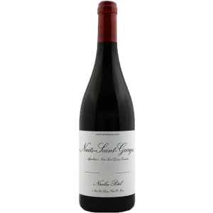 Nicolas Potel Nuits Saint Georges 2022 750 ML